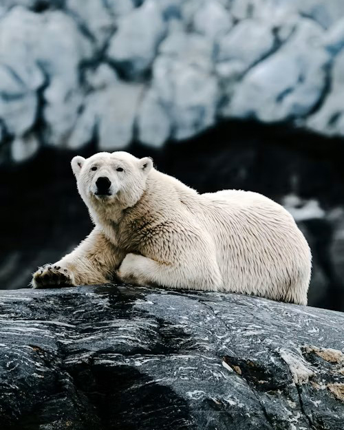 svalbard
