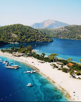 turkey 4